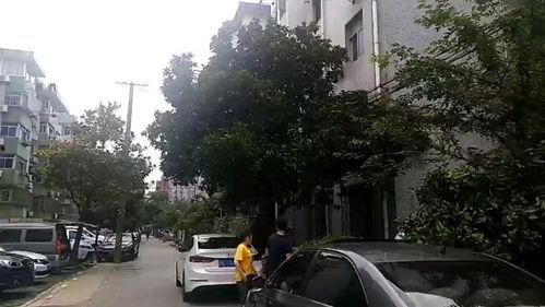 南公村小区爆料视频,真实生活场景引发热议 第2张 南公村小区爆料视频,真实生活场景引发热议 第2张
